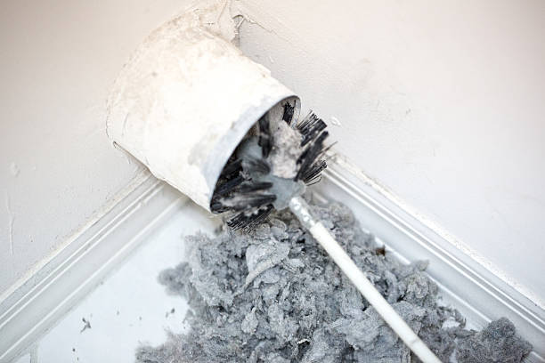 Best Local Air Duct Cleaning Services  in Latrobe, PA